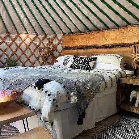 O Dan Y Coed Luxury Yurt With Hot Tub Hotel Chwilog Kültér fotó